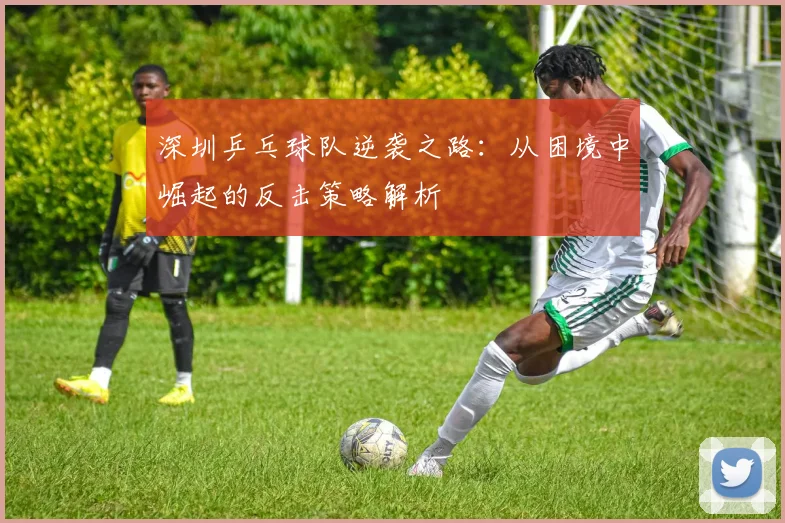 深圳乒乓球队逆袭之路：从困境中崛起的反击策略解析