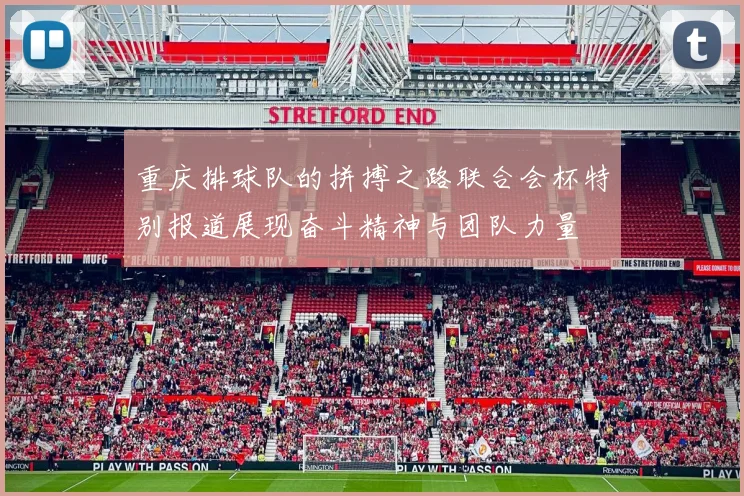 重庆排球队的拼搏之路联合会杯特别报道展现奋斗精神与团队力量